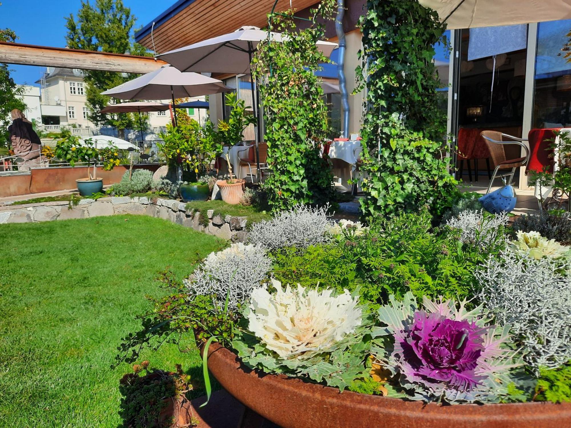 Hatzendorf Malerwinkl Restaurant + Kunsthotel מראה חיצוני תמונה